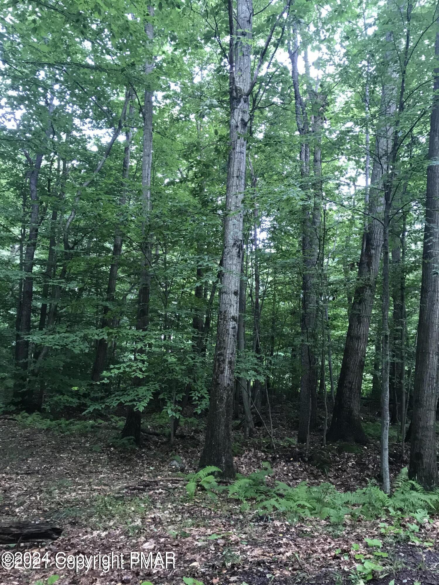 Image 1: 2