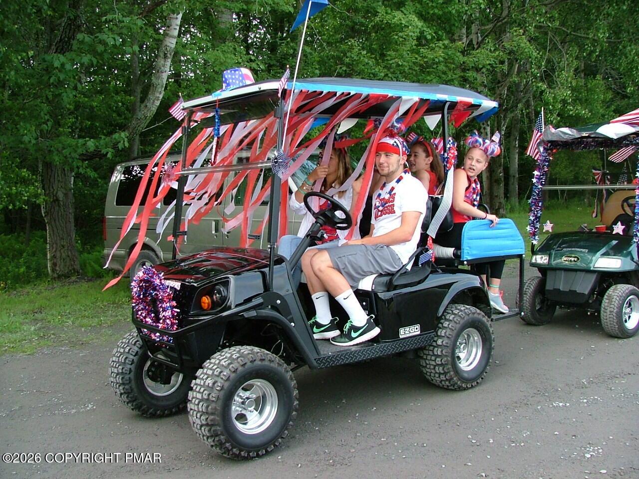 Image 4: Golf Cart Parade