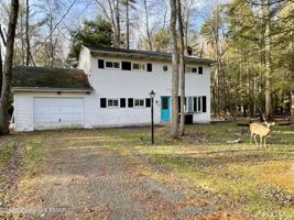 73 Pine Tree Road