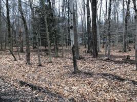 Timberlane Drive & Tamarack Trl