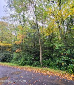 E12 Blue Spruce Road & Trail Ridge Road