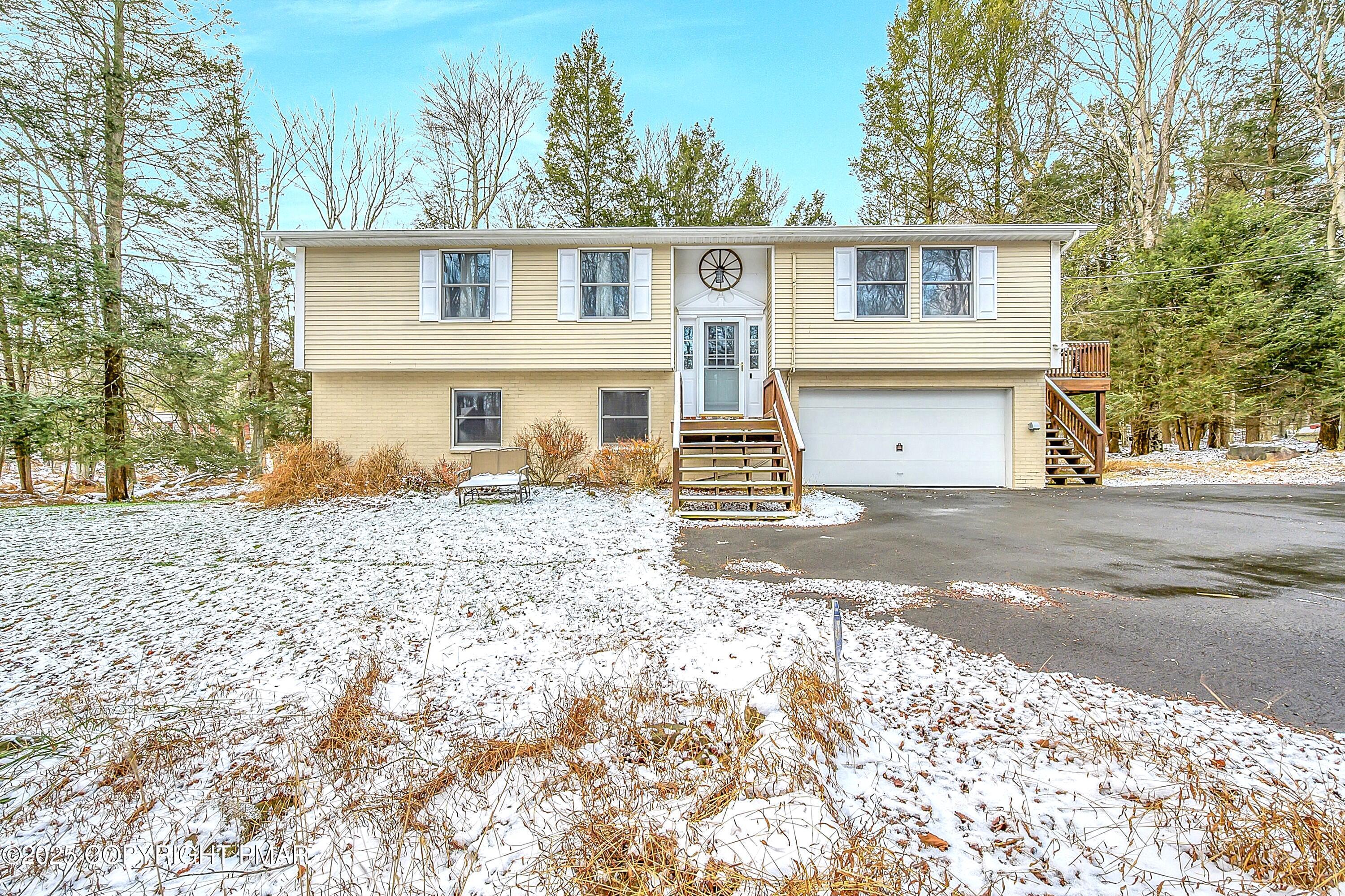 Image 1: Sir Lion_-3