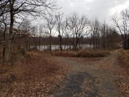 Lower Lakeview Dr