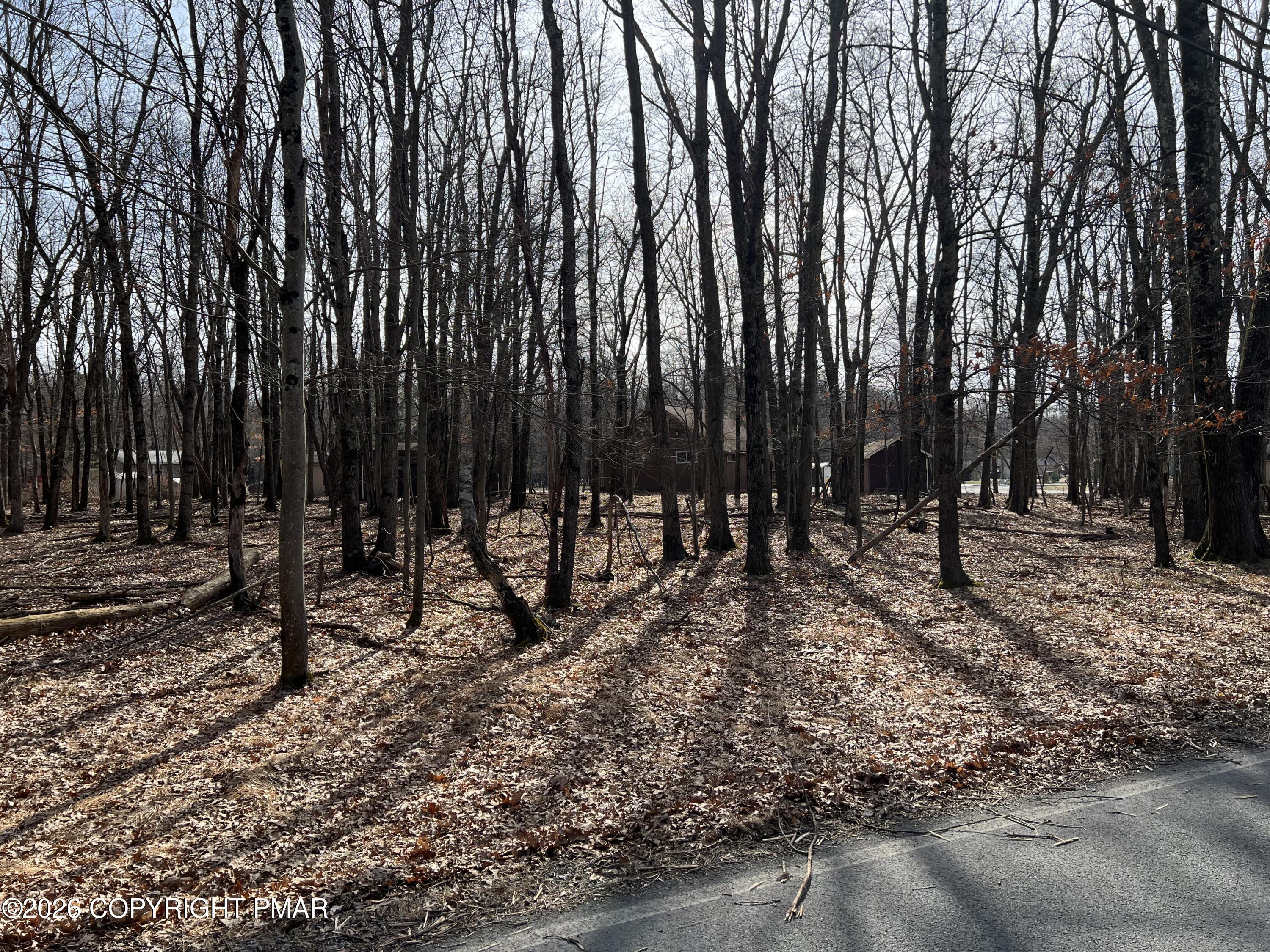 Image 1: Woodland Road Lot (1)