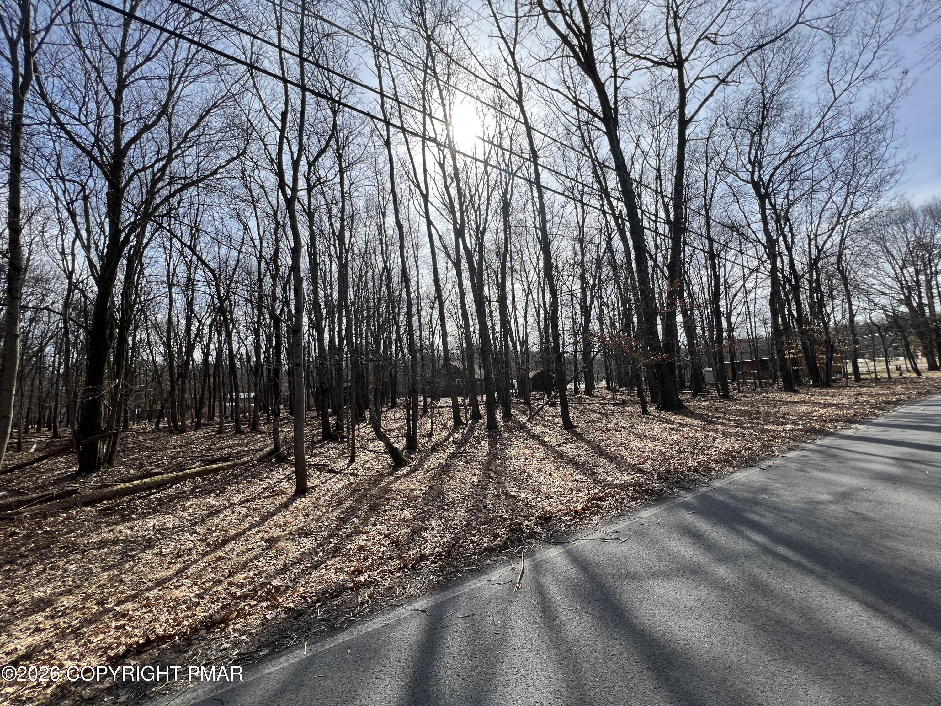 Image 2: Woodland Road Lot (2)