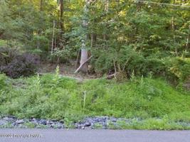 223 Dogwood Terrace