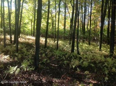 Lot H27 Barni Lane & Wolf Hollow Rd.