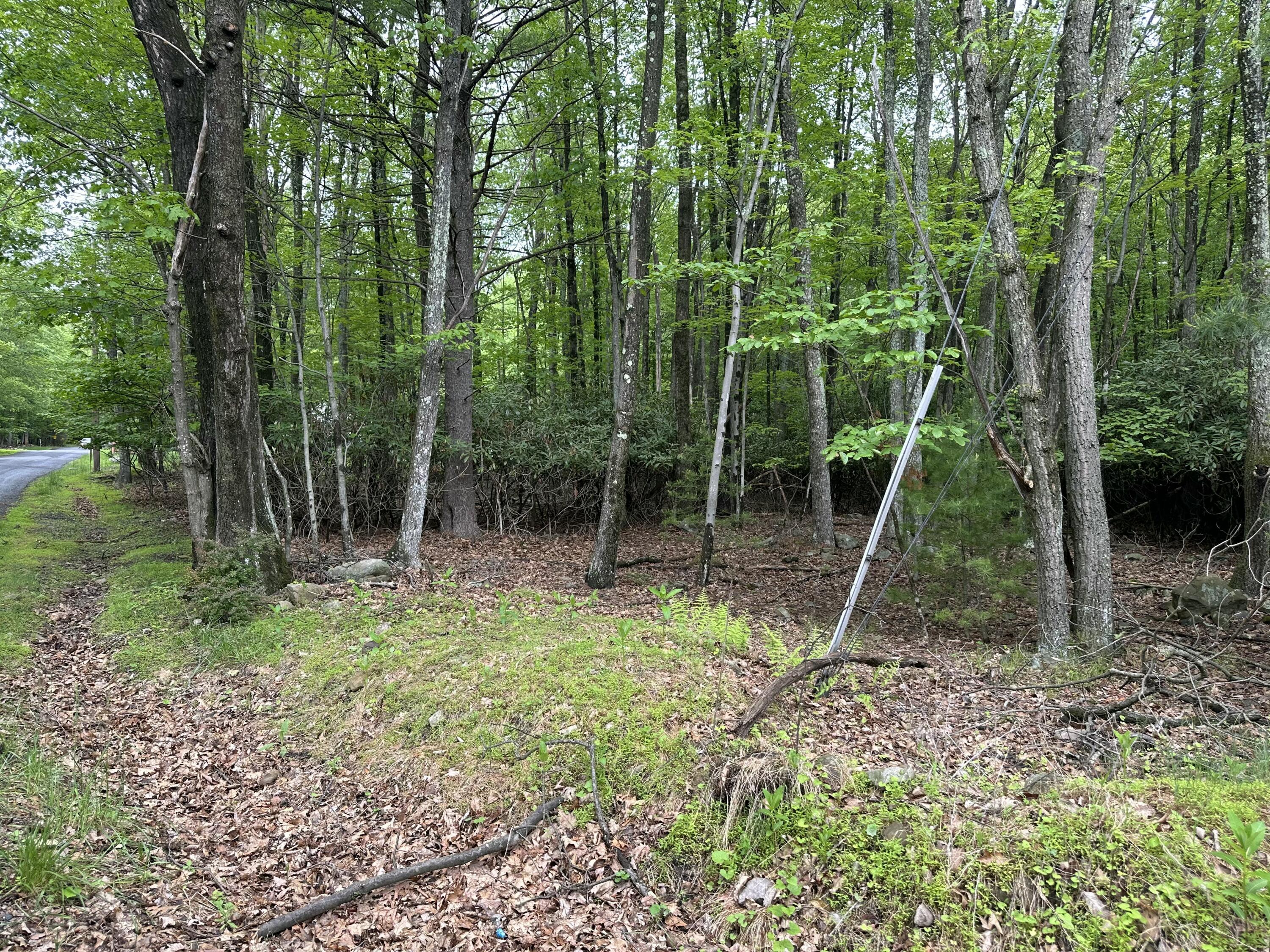 Image 2: IMG_7144