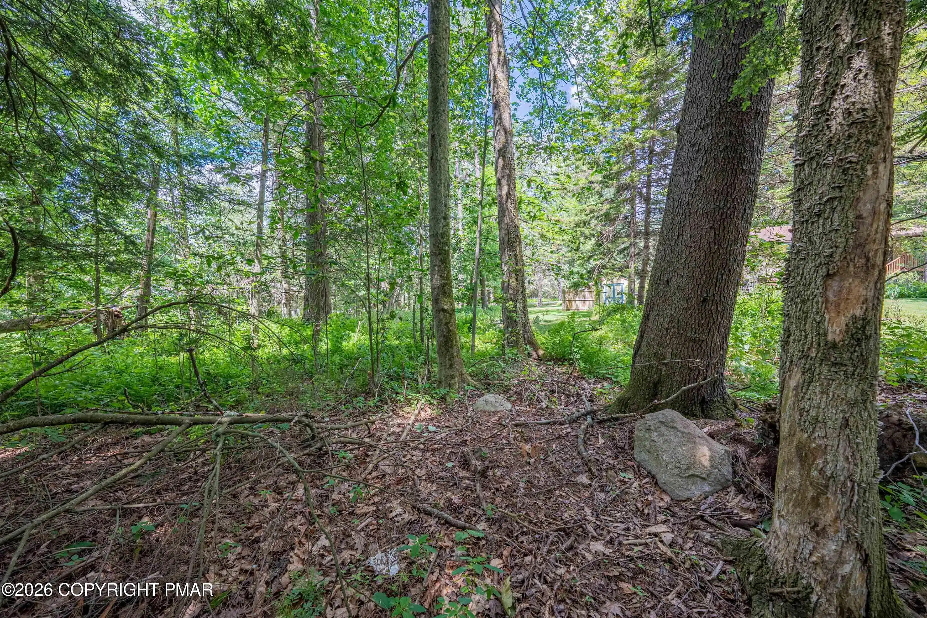 Image 1: 5226 Beechwood-51