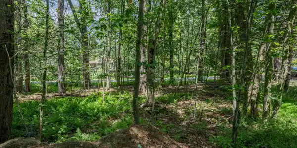 Image 3: 5226 Beechwood-53