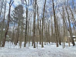 15 1 Sweet Briar
