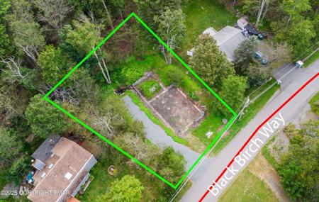 1523 Black Birch Way