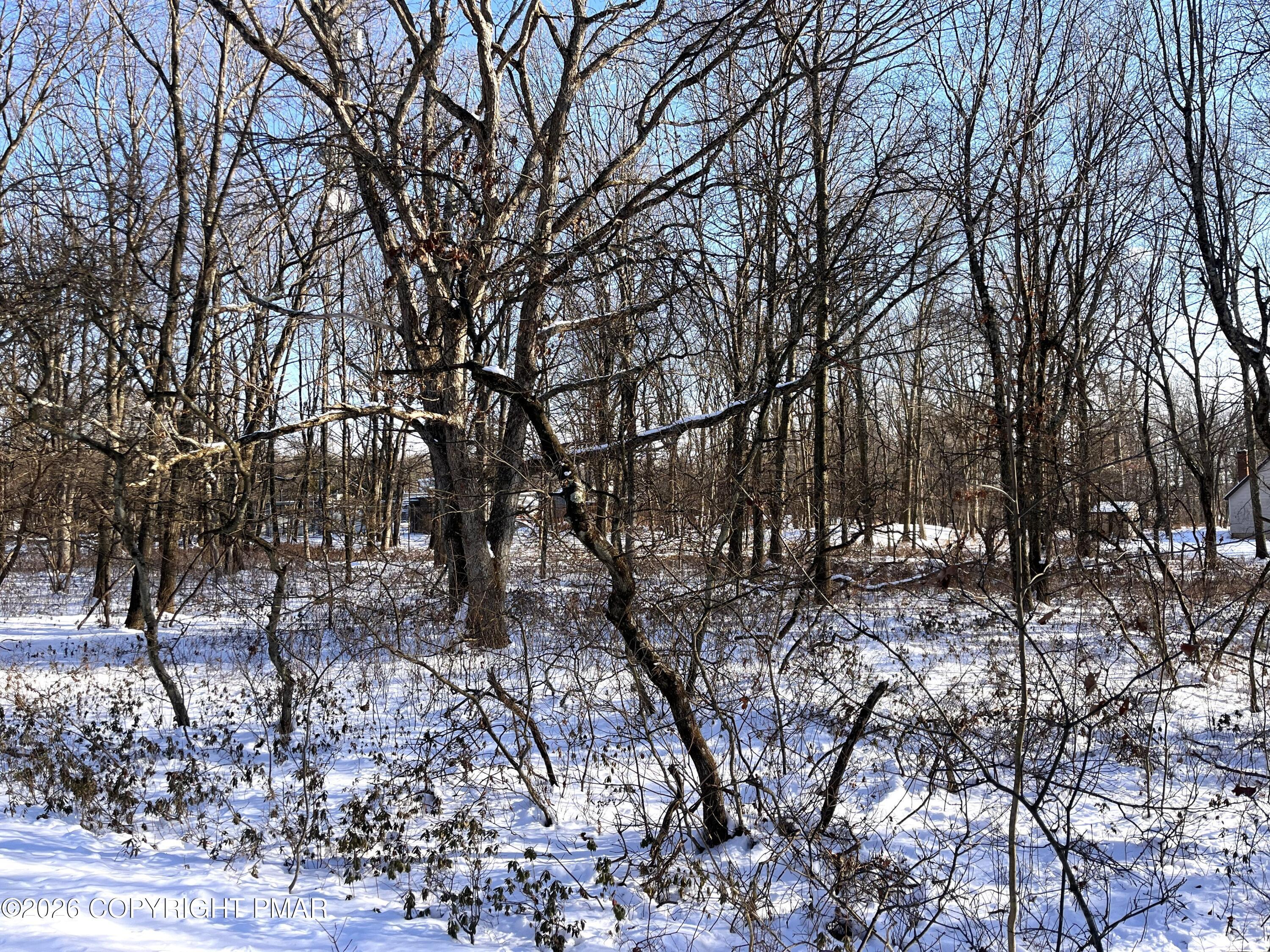 Image 1: View of Lot