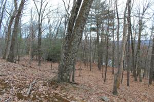 2135 Autumn Ct