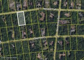 1117 Petrarch Trail