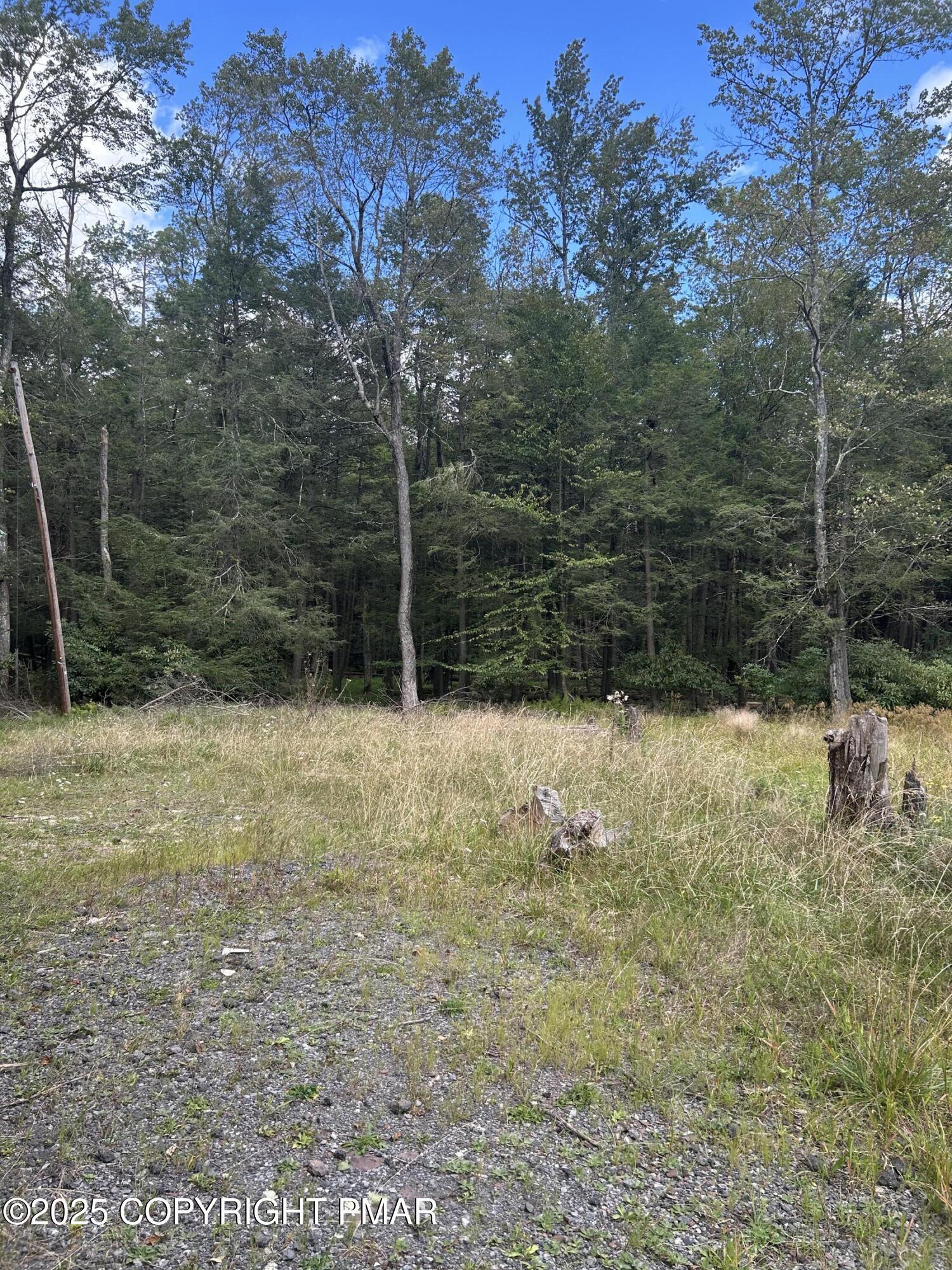 Image 2: IMG_4397