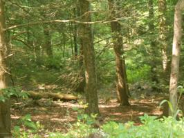 52 Logger Road