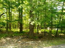Ridge Rd