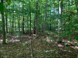 Fox Run Lots 60,61