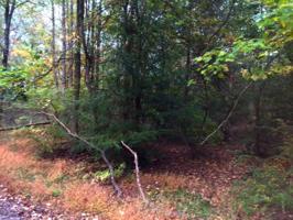 Lot 19 Lake Dr