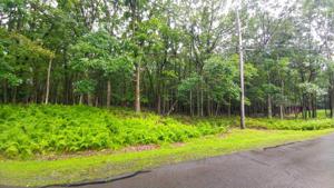 4 MAPLE RD