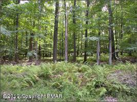 401 Locust Ln