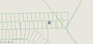 1029 Basswood Ct
