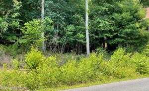 Lot A-4 Lake Dr