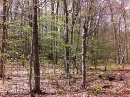1814 ELK RUN RD