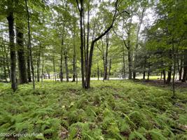 Lot 66 Skyline Dr