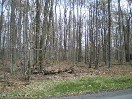 Lot 834 D1 Stag Run Road