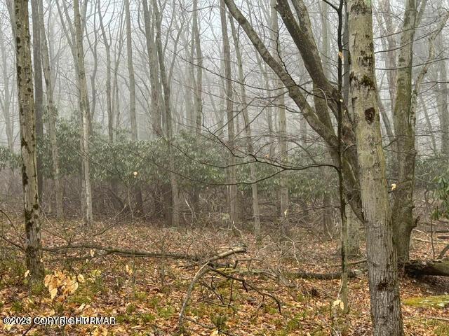 Image 3: 20240327192553442093000000-o