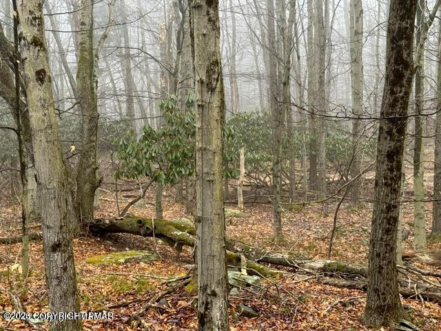 Image 4: 20240327192554951468000000-o