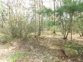 Lot 19 LONG VIEW Dr