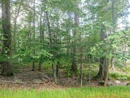Lot 80D Lookout Point Dr