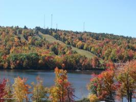 59 Midlake Dr Unit #101