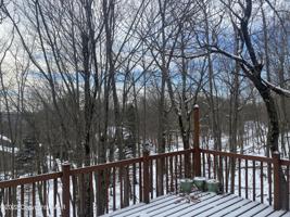 358 Birch Dr