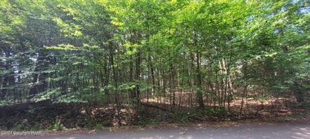 H17 Wolf Hollow Road