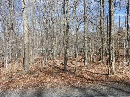 1002 Locust Lane 
