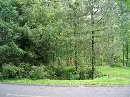 Lot20Blk2 LAKE DR