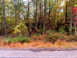 Lot 20 LAKE DR