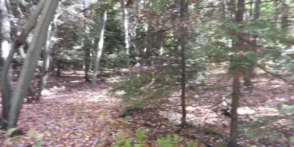 2 NAKORA DR