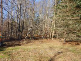 Iroquois Ct2