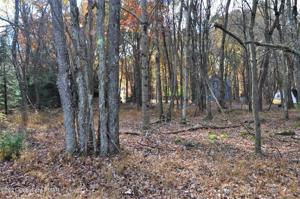 C1038 Whitman Ln