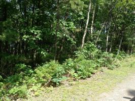 #7222 Saw MIll Rd