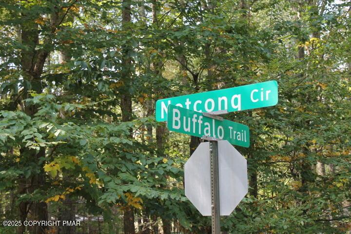 Image 1: IMG_2425