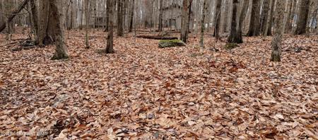 164 Mountain View Dr #1007 Drive