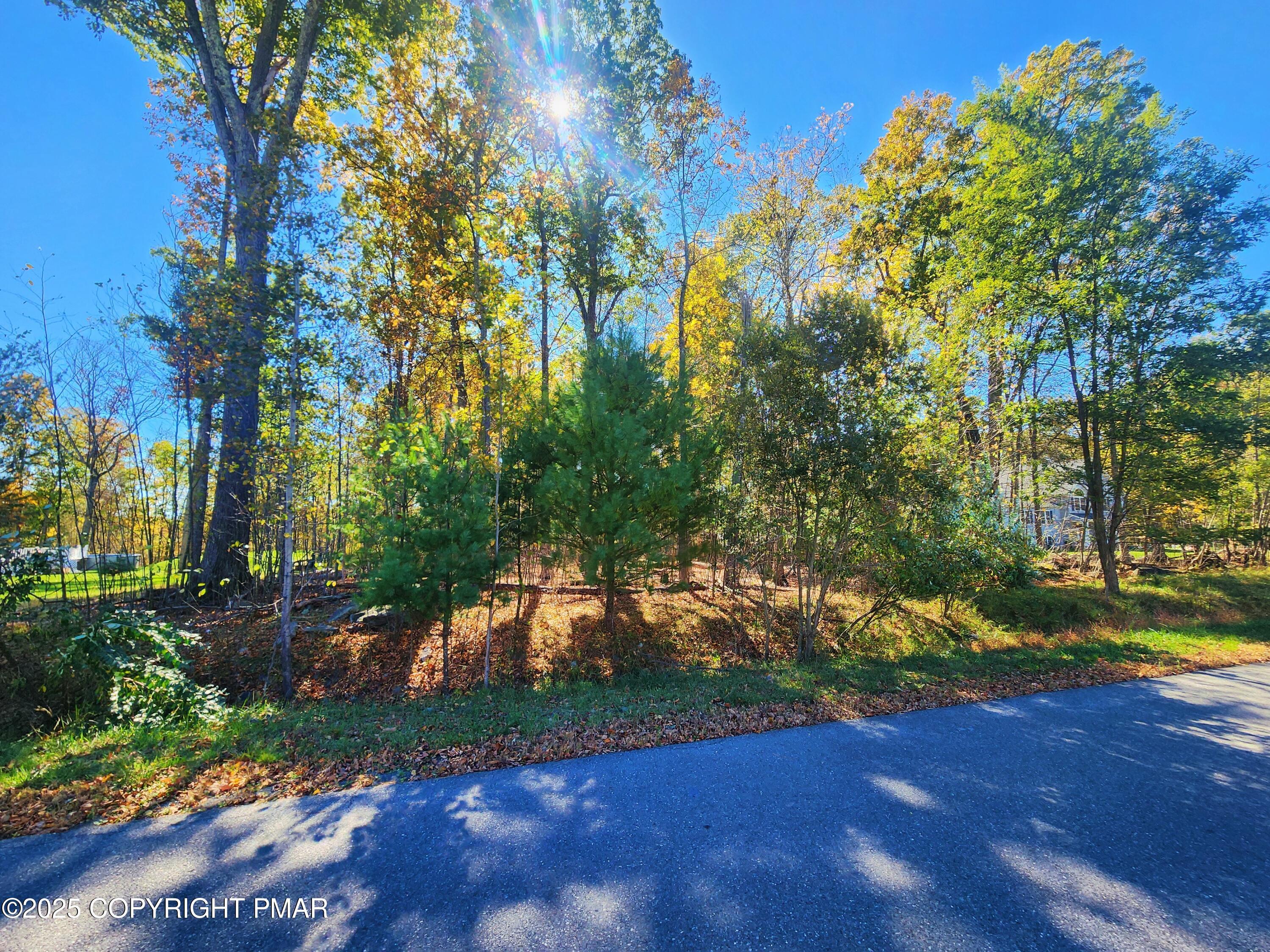 Image 1: 19 Kassidy Ct