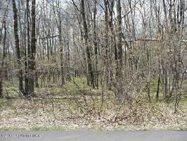 532 Towamensing Trail 