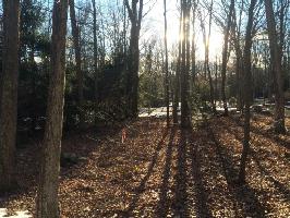 Lot 0 White Oak Road